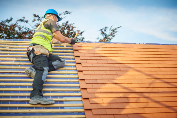 Best Roof Maintenance and Cleaning  in Lusby, MD